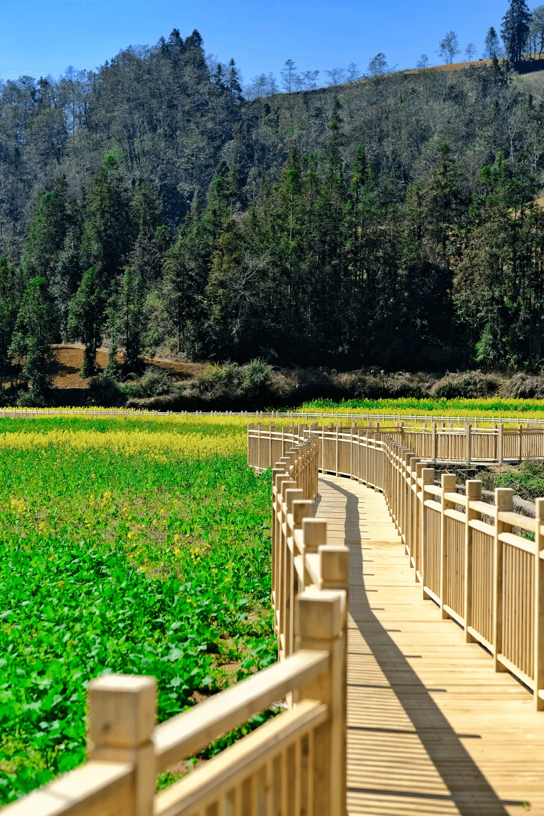 首页| 9001cc金沙集团以诚为本官网