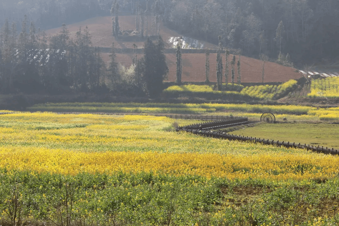 首页| 9001cc金沙集团以诚为本官网